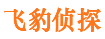 东至调查公司